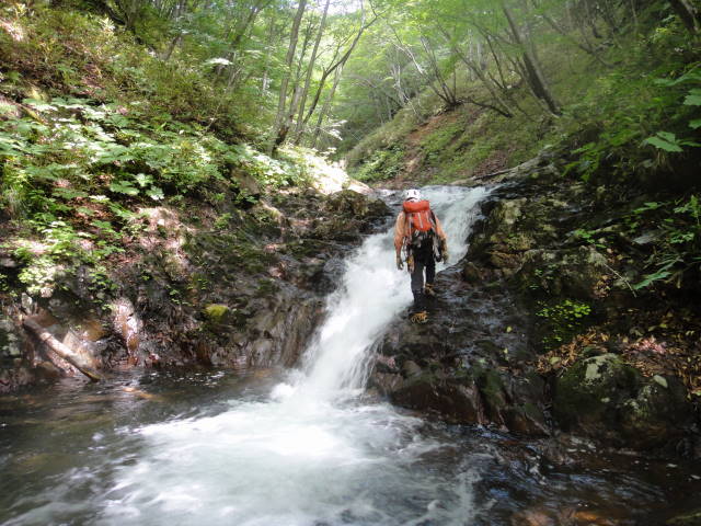 11_20130716224246.jpg