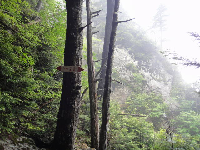 13_20130701231532.jpg