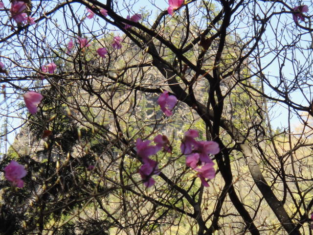 14_20130514214509.jpg