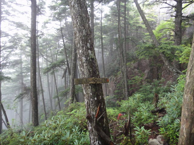 15_20130701231531.jpg