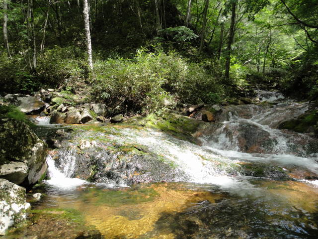 15_20130716224336.jpg