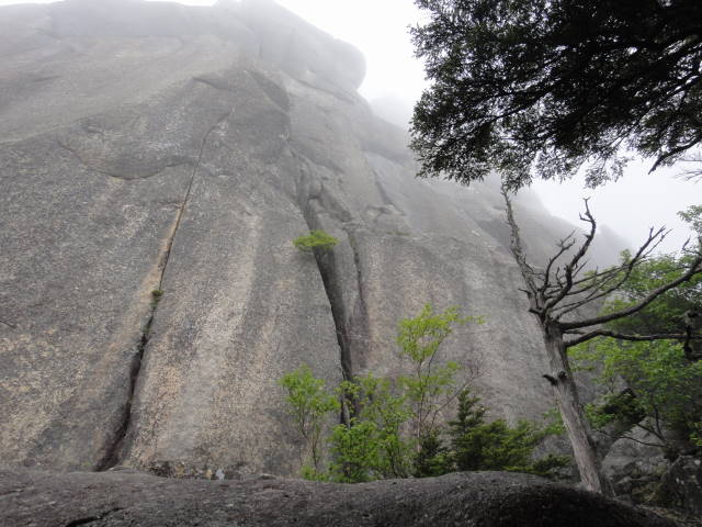 16_20130701231530.jpg