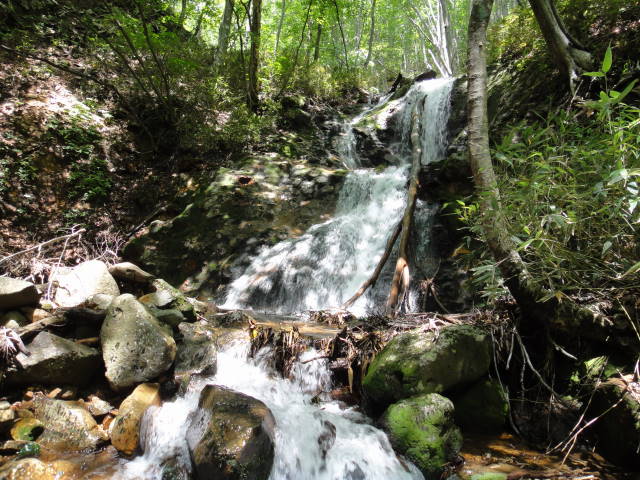 16_20130716224335.jpg