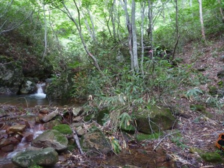 17_20130716224335.jpg