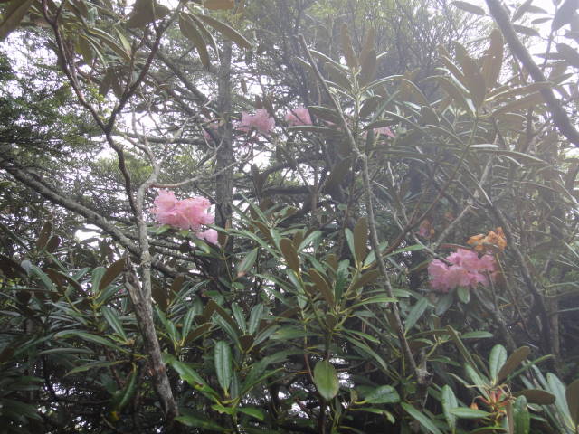 18_20130701231529.jpg