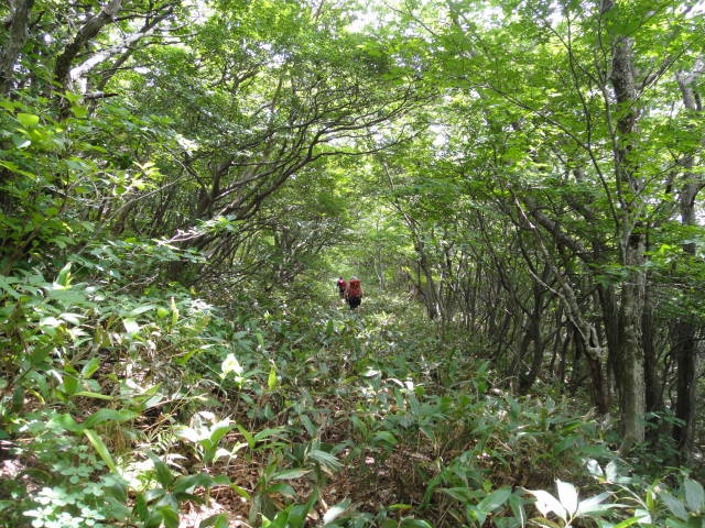 18_20130716224334.jpg