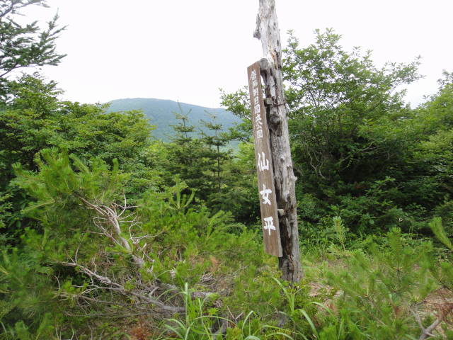 19_20130716224349.jpg