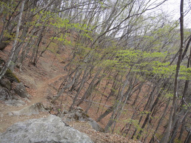 1_20130421203721.jpg