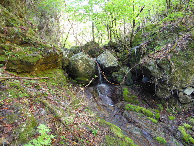 1_20130514214508.jpg