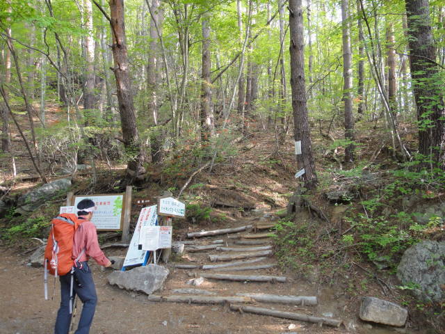 1_20130520221918.jpg