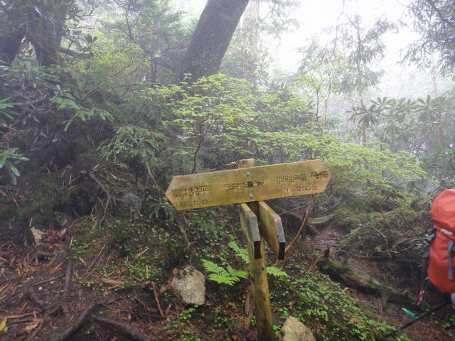 21_20130702002325.jpg