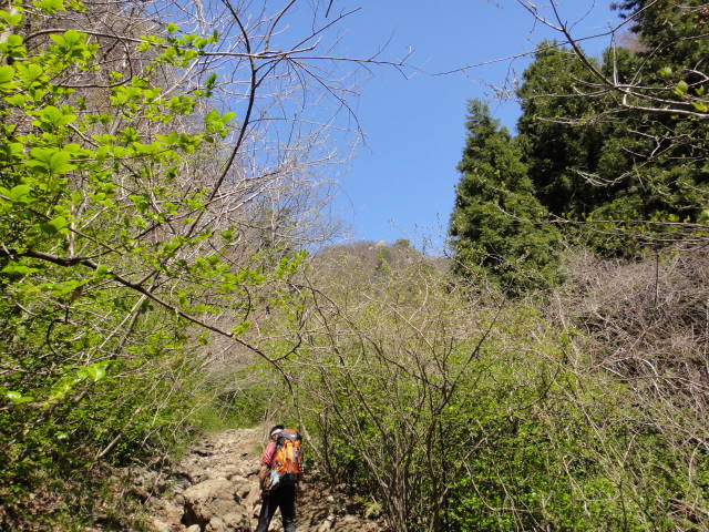 2_20130415224716.jpg