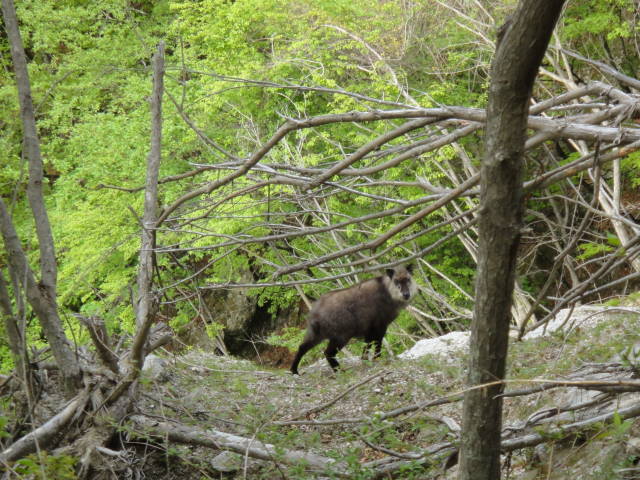 2_20130520221917.jpg