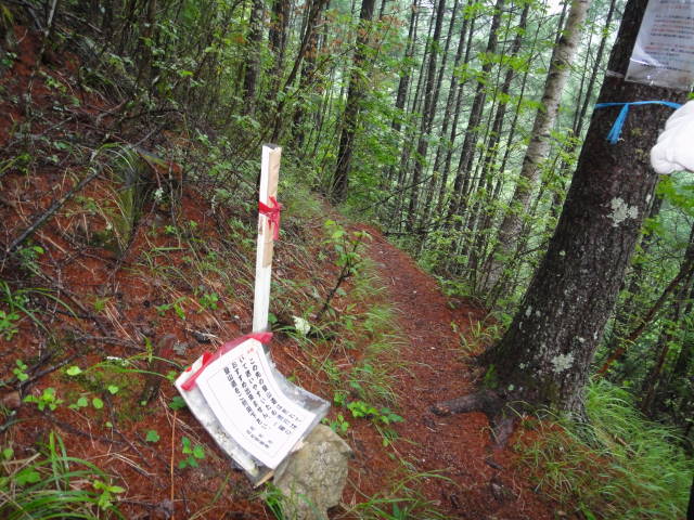 2_20130701231409.jpg