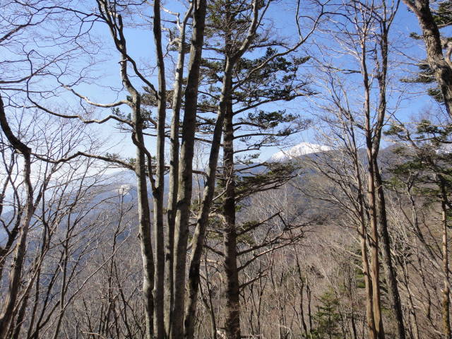 3_20130430235333.jpg