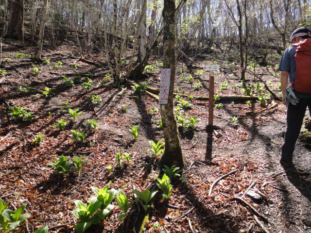3_20130514214507.jpg