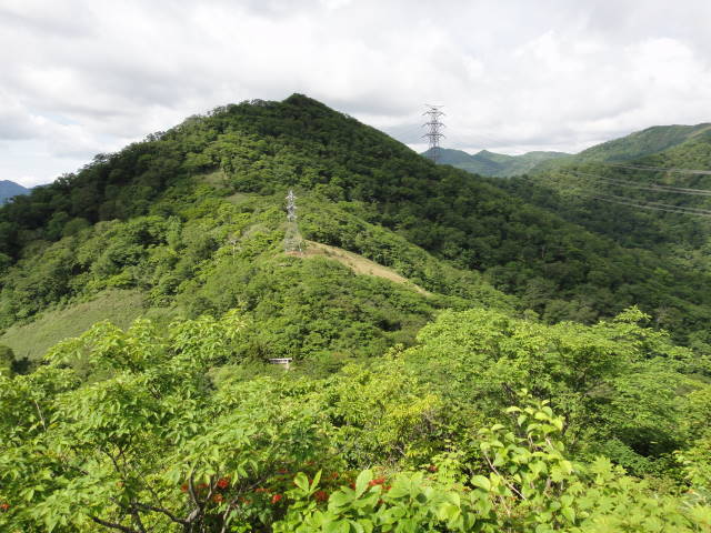 3_20130625000212.jpg