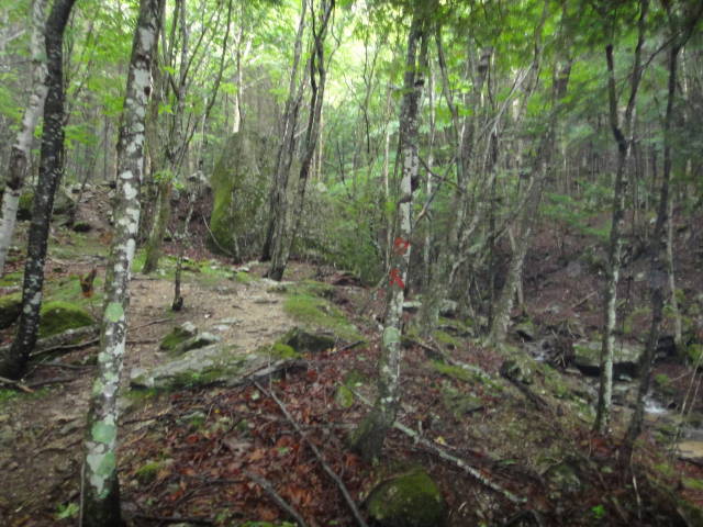 3_20130701231408.jpg