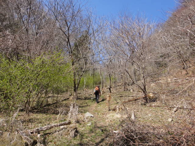 4_20130415224715.jpg