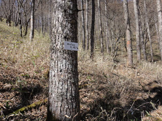 4_20130430235332.jpg