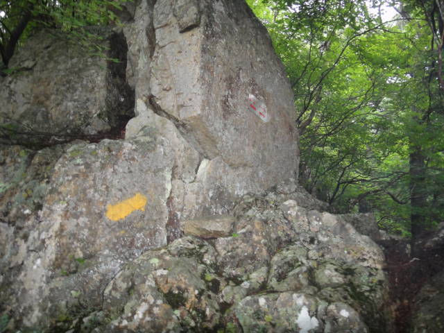 4_20130701231408.jpg