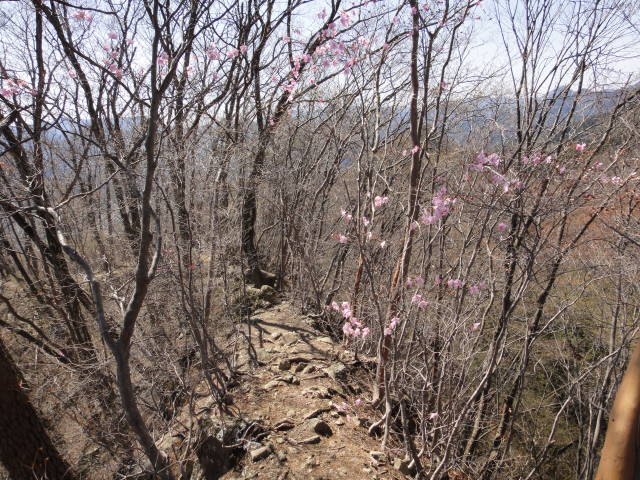 5_20130415224714.jpg
