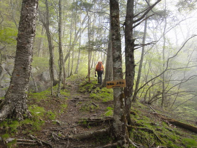 5_20130520221916.jpg