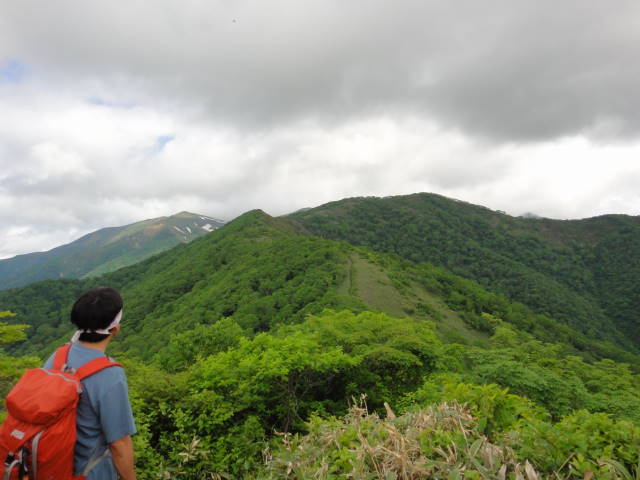 5_20130625000211.jpg