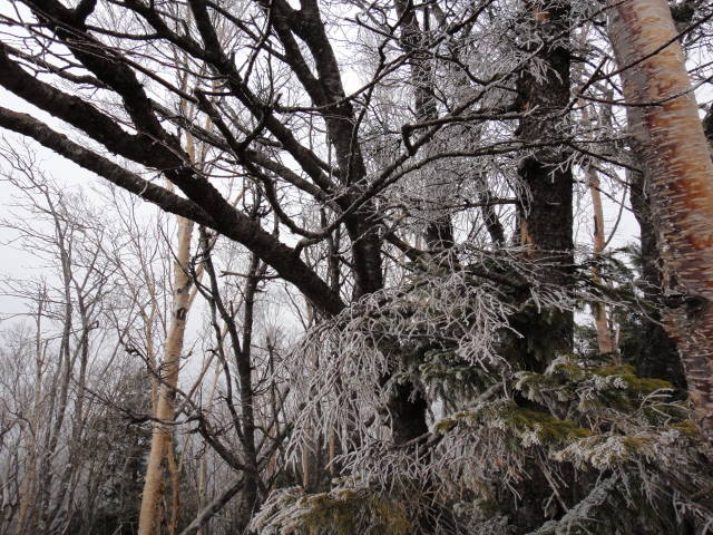 6_20130421203719.jpg