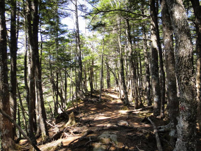 6_20130520221915.jpg