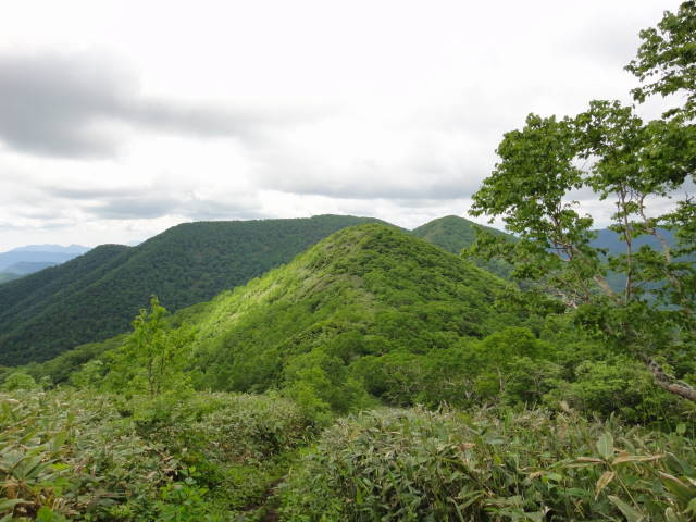 6_20130625000211.jpg