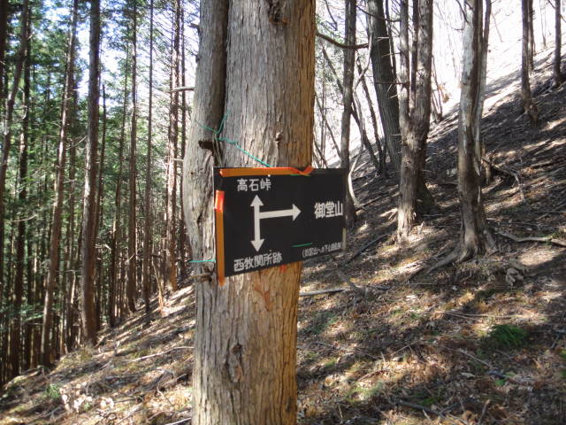 7_20130415225320.jpg