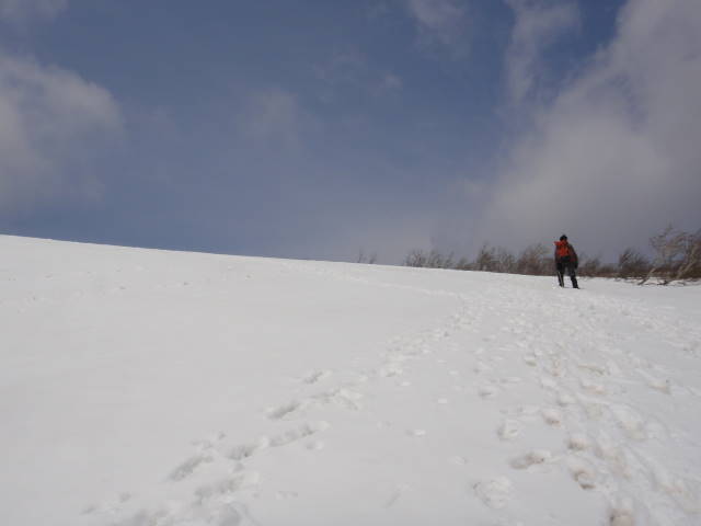 7_20130506230920.jpg