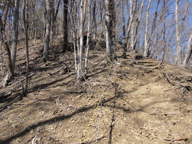 8_20130415225319.jpg