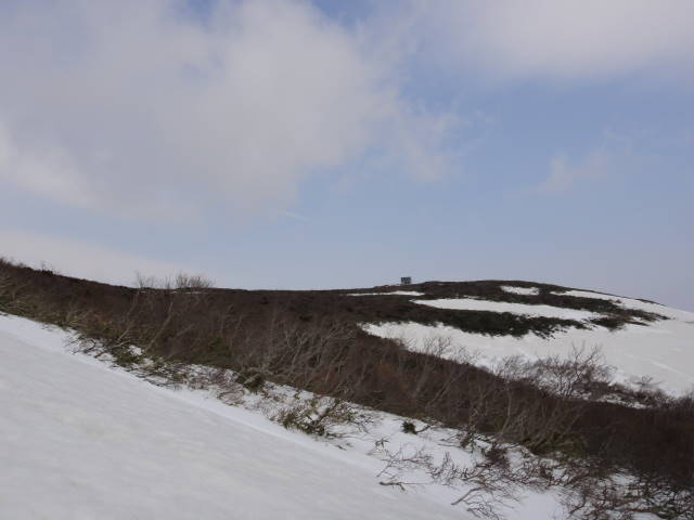 8_20130506230919.jpg