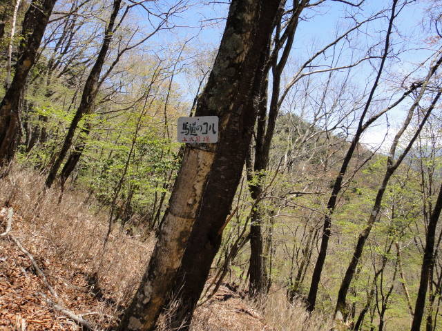 8_20130514214546.jpg