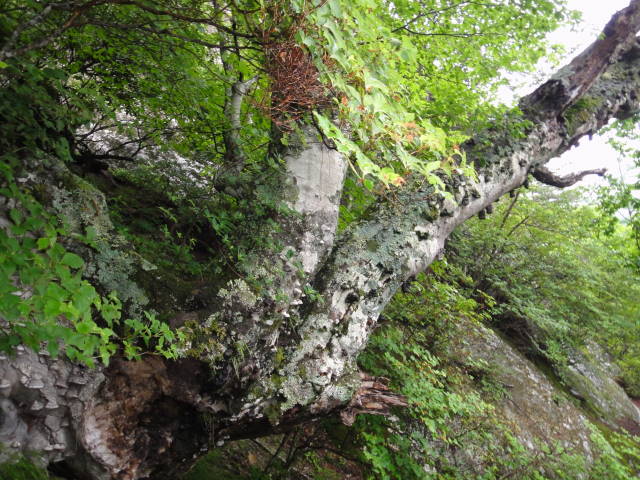 8_20130701231450.jpg