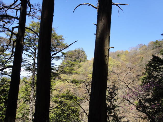 9_20130514214546.jpg
