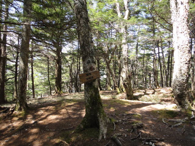 9_20130520222000.jpg