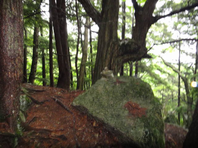 9_20130701231450.jpg