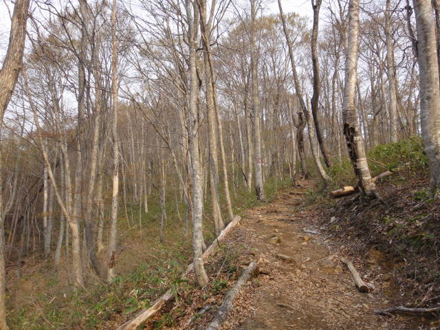 DSC02824.jpg