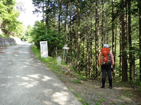 DSC03095.jpg