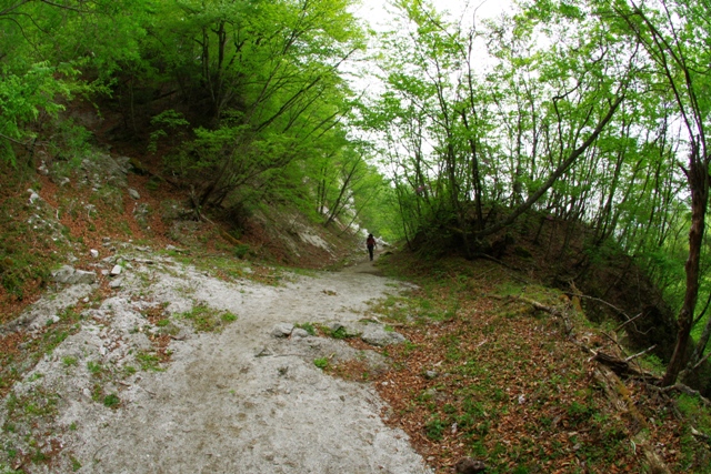 IMGP2462b.jpg