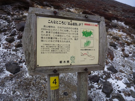 P1040691.jpg