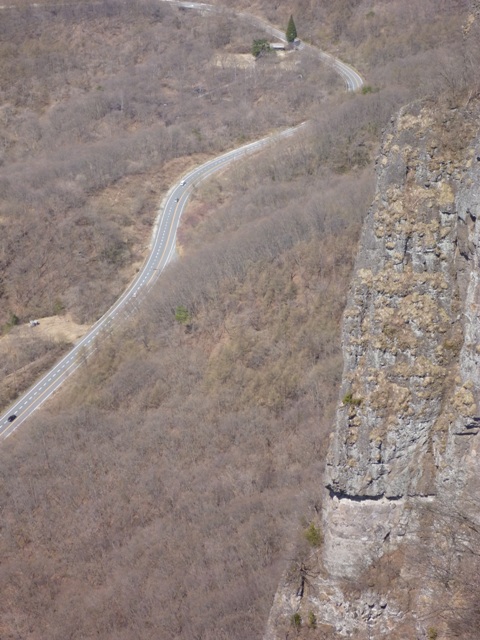 P1040770.jpg