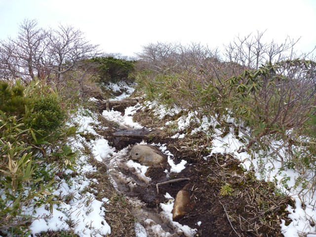 P1040900.jpg