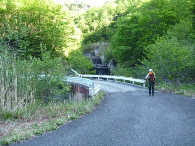 P1040948b.jpg