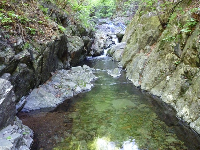 P1040956b.jpg