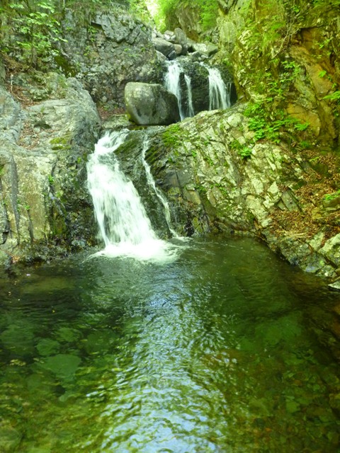 P1040960b.jpg