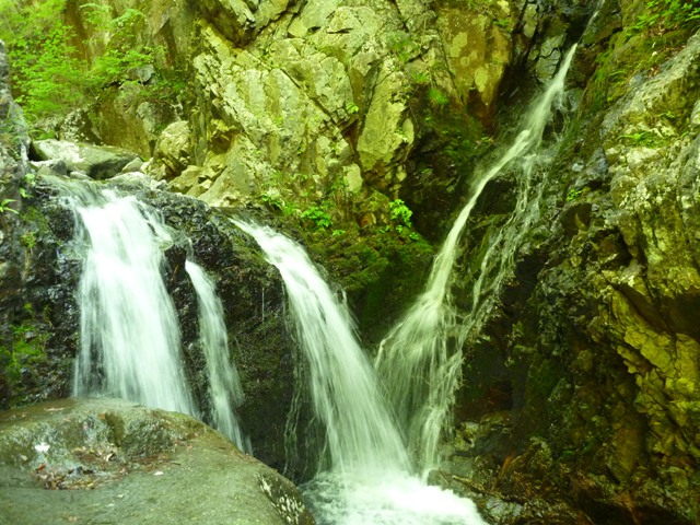 P1040963b.jpg